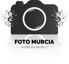 logo not found